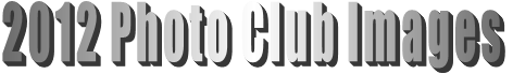 2012 Photo Club Images 