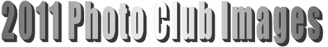 2011 Photo Club Images 