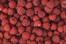 Wineberries