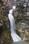 Eden Falls in Winter