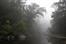 071005_VJ2E4733S