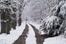 Winter Road